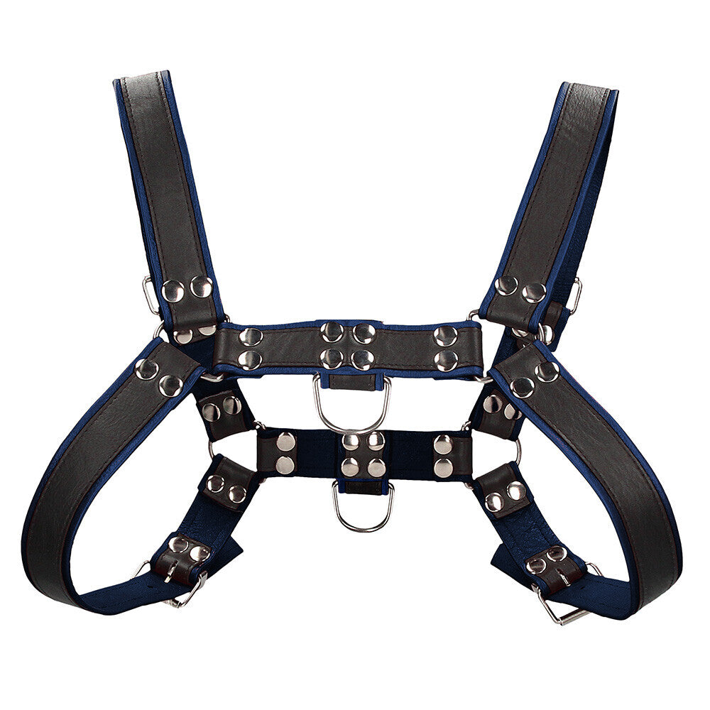 Ouch Chest Bulldog Harness Blue Small To Medium - Sinsations