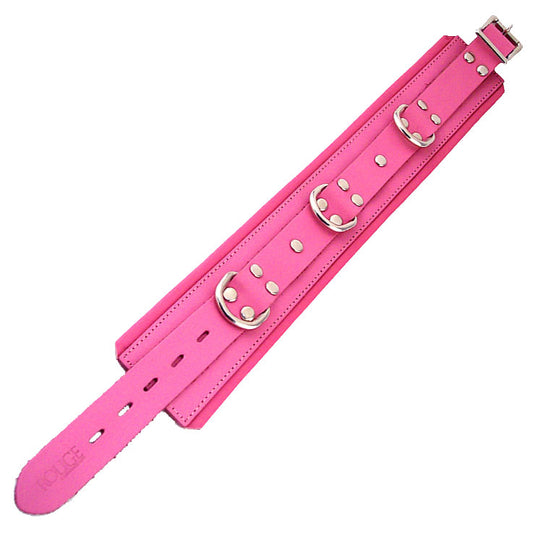 Rouge Garments Pink Padded Collar - Sinsations