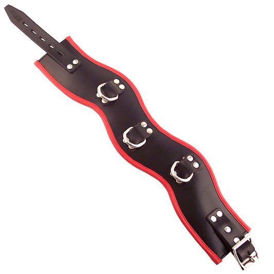 Rouge Garments Black And Red Padded Posture Collar - Sinsations
