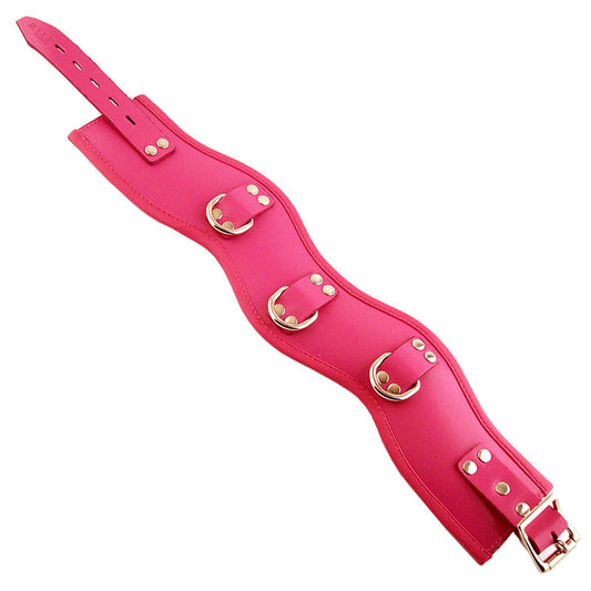 Rouge Garments Pink Padded Posture Collar - Sinsations