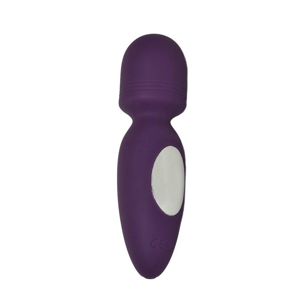 Rimba Valencia Mini Wand Vibrator Purple - Sinsations