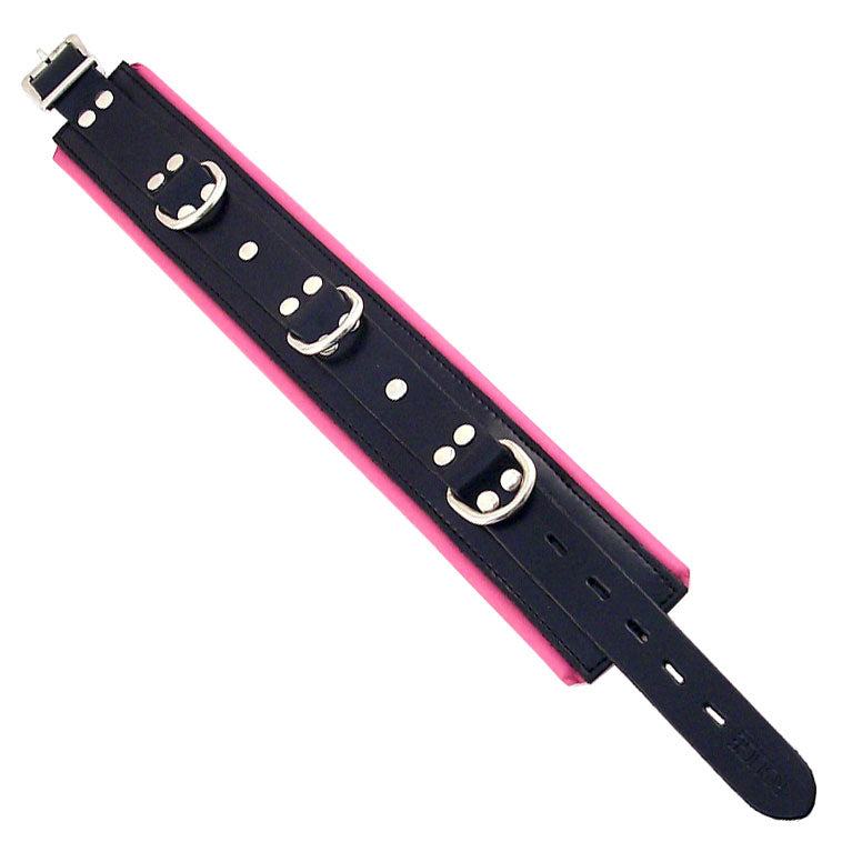 Rouge Garments Black And Pink Padded Collar - Sinsations