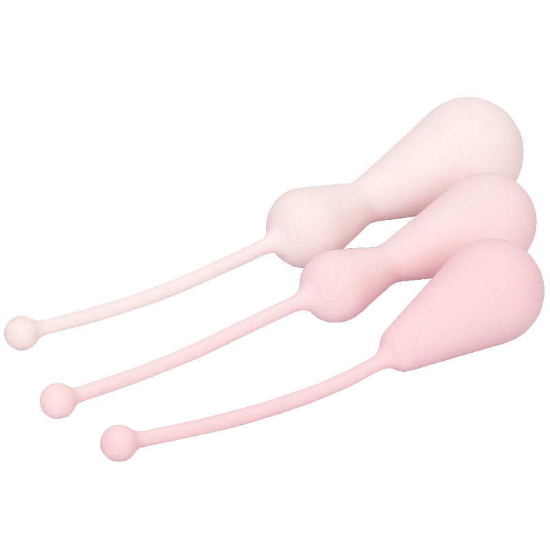 Inspire Weighted Silicone Kegel Training Kit - Sinsations